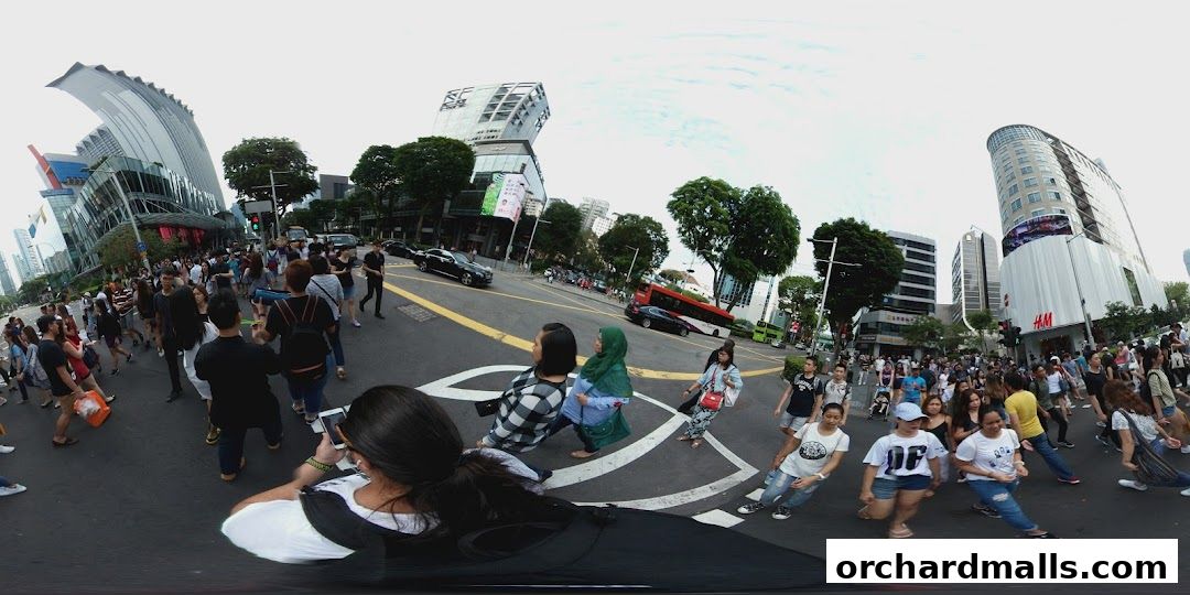 Caisse Des Deposts Et Consignations