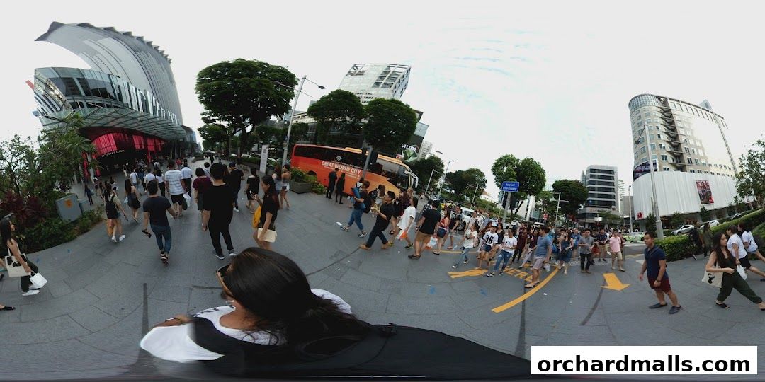 Caisse Des Deposts Et Consignations