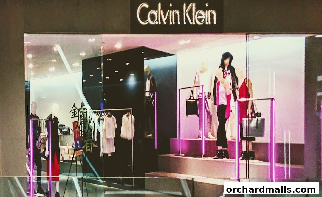 Calvin Klein store window display featuring mannequins dressed in stylish clothing and accessories.
