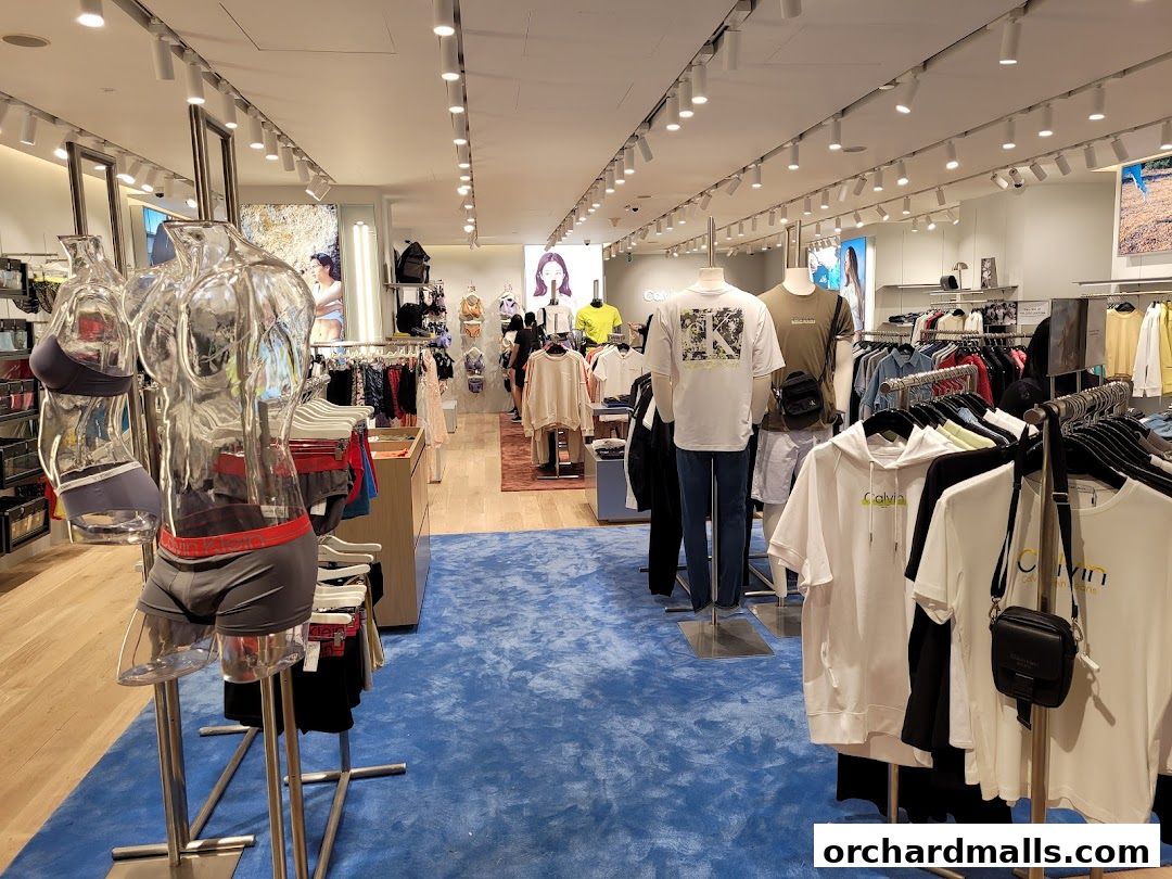 Interior view of a Calvin Klein store showcasing apparel on mannequins and racks.