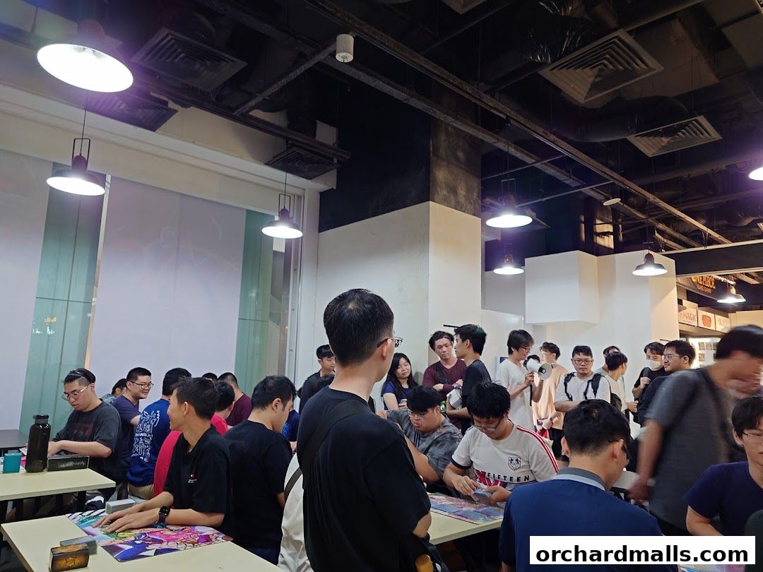 Cardboard Collectible