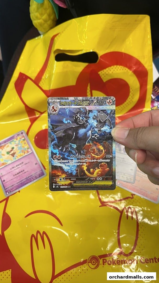 Cardboard Collectible