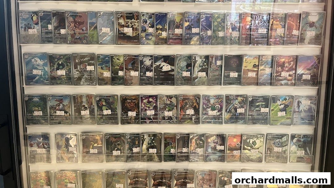 Cardboard Collectible