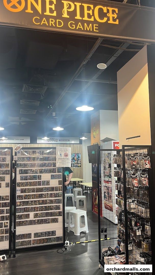 Cardboard Collectible