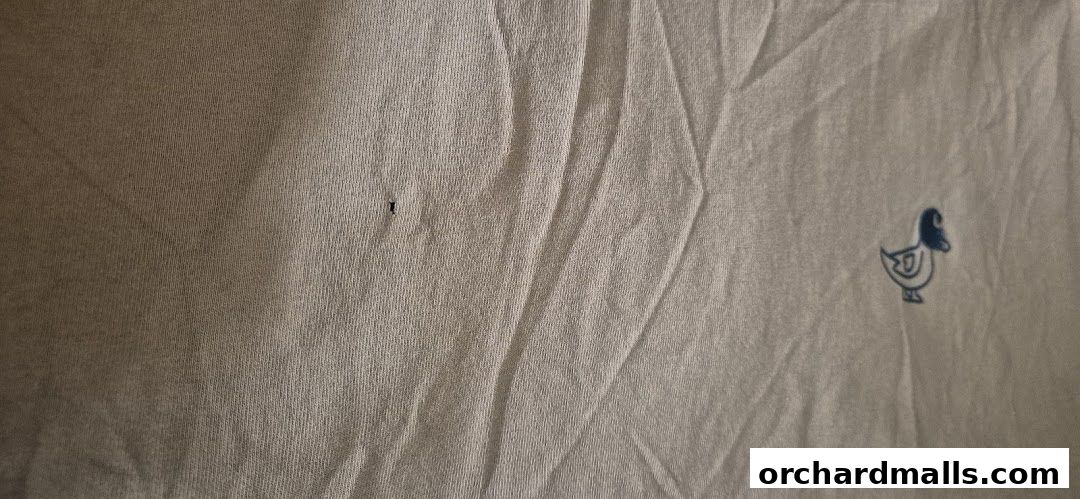 Carhartt WIP Singapore