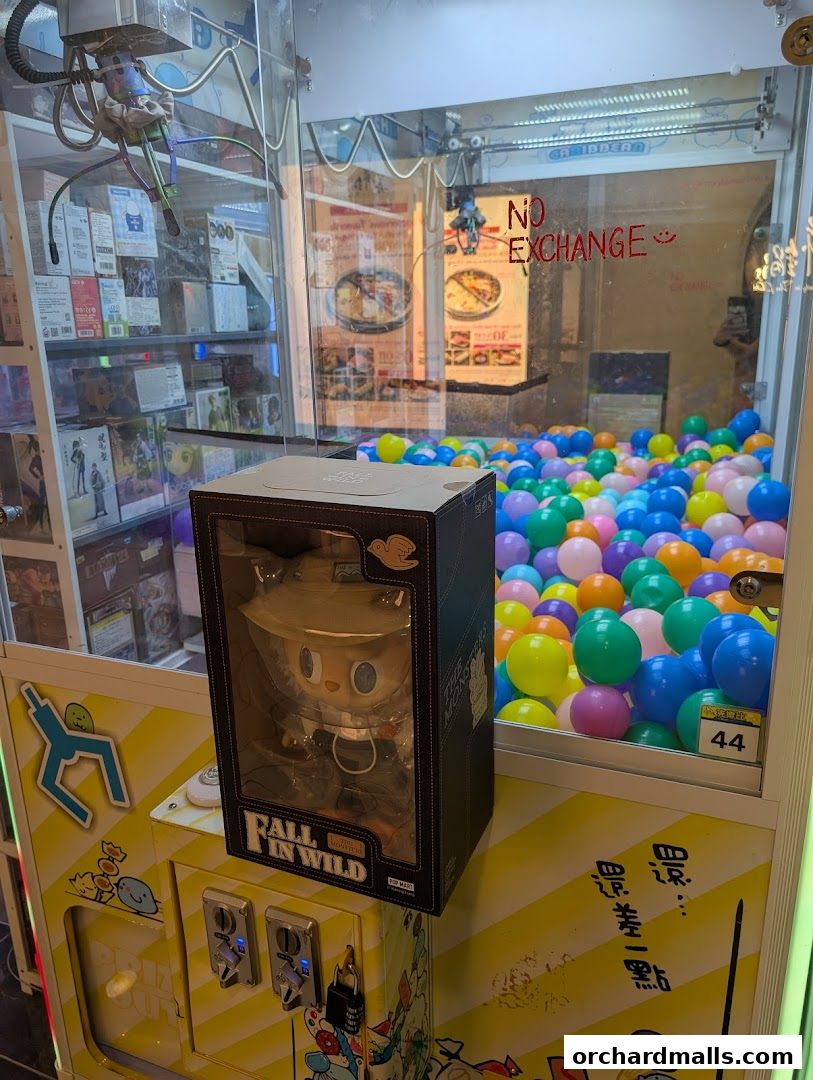 Caribbean SG 夾樂比