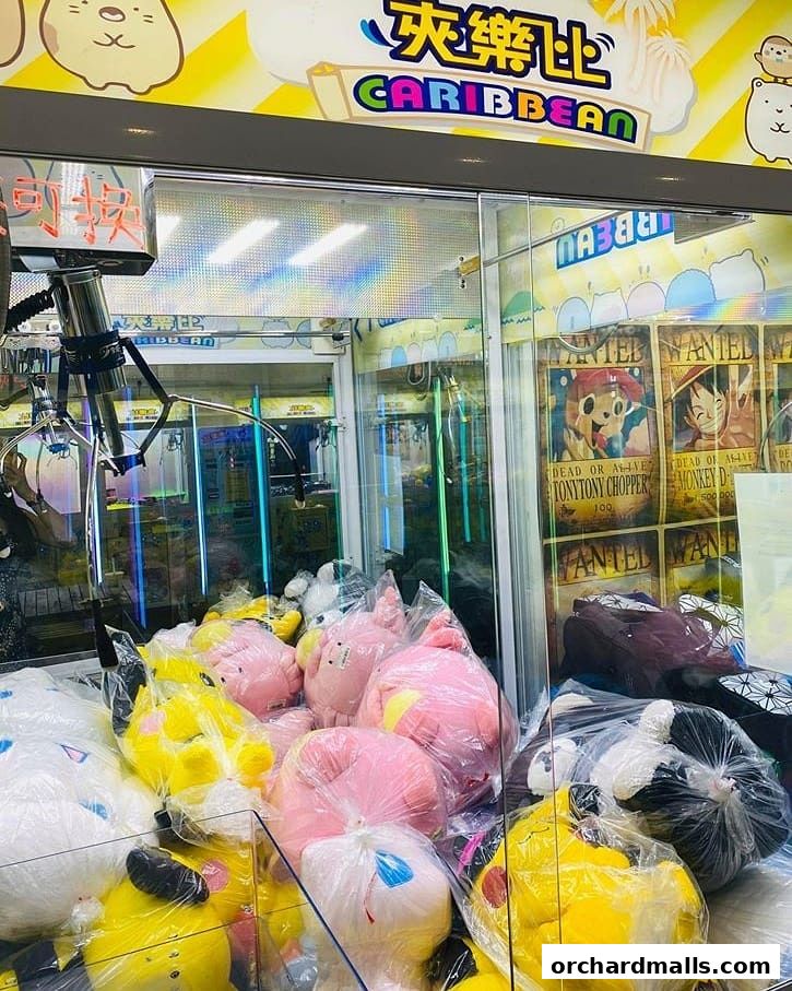 Caribbean SG 夾樂比