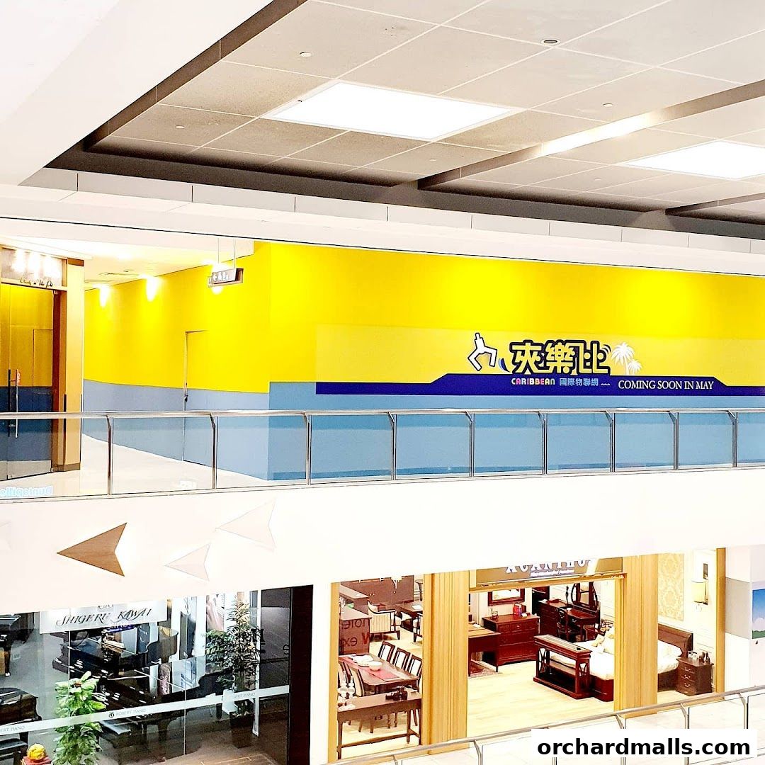 Caribbean SG 夾樂比