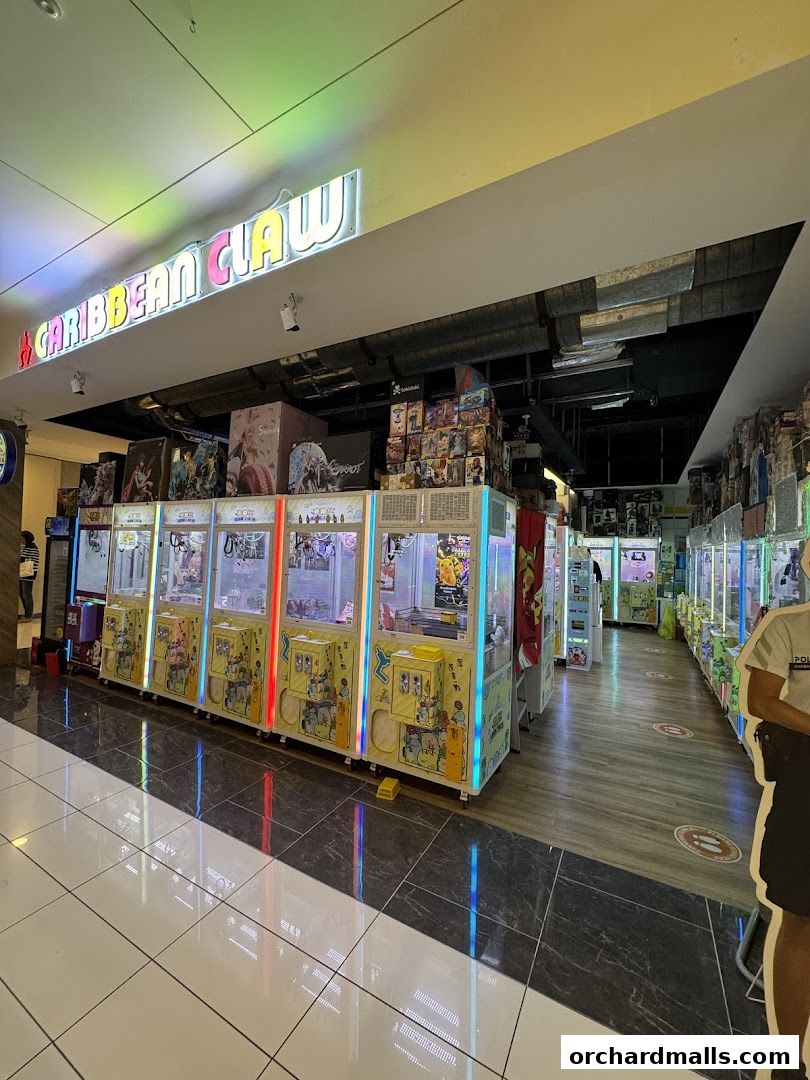 Caribbean SG 夾樂比