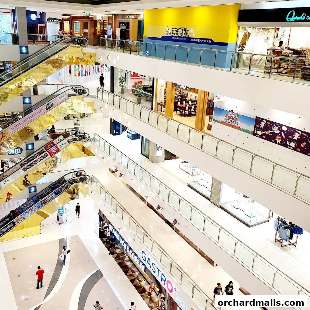 Caribbean SG 夾樂比