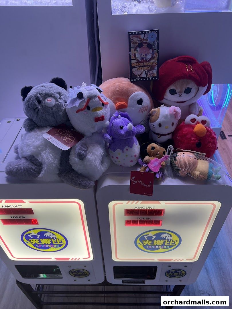 Caribbean SG 夾樂比