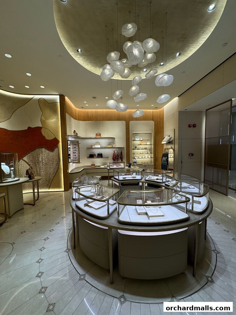 Interior view of a luxury jewelry store with display cases and elegant lighting.