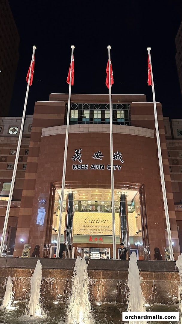 Ngee Ann City mall entrance at night with a Cartier banner and fountains.