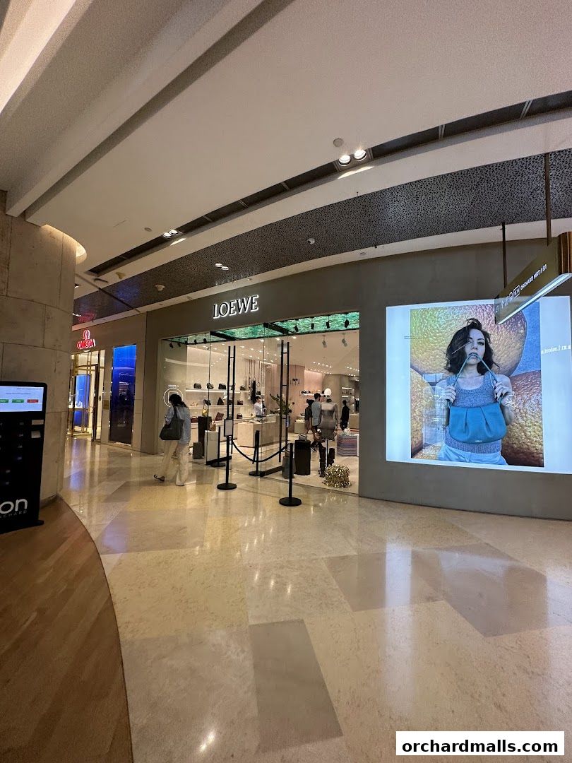 The entrance of the CASA LOEWE Singapore luxury fashion store with displays and mannequins.