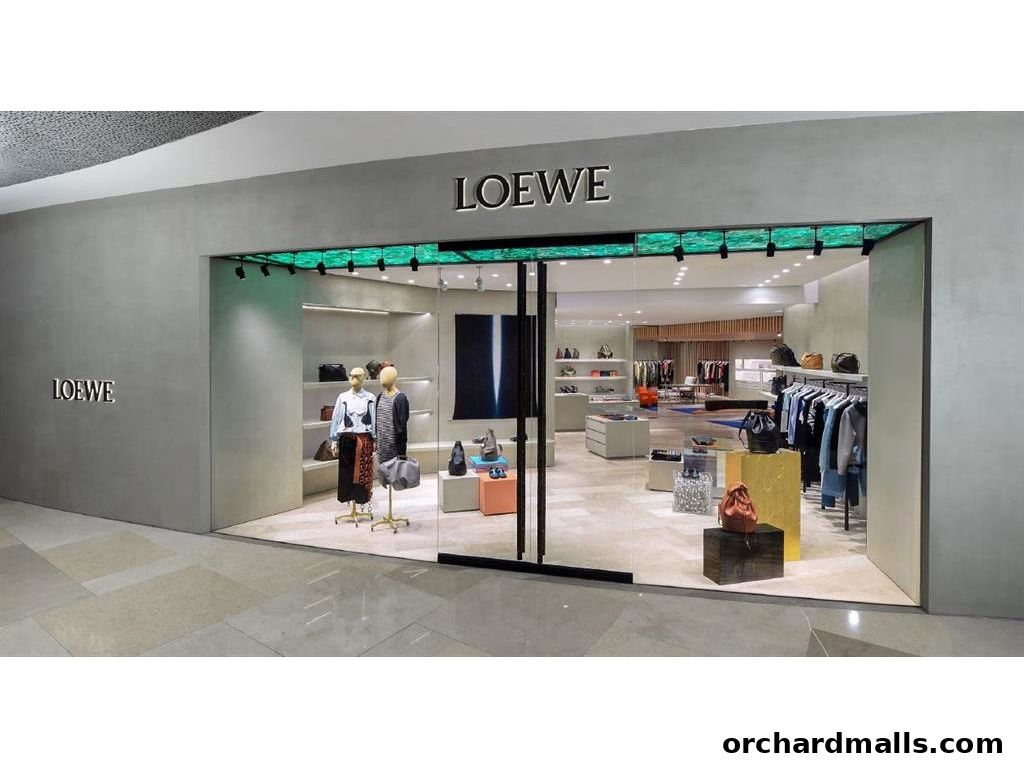 The exterior of the CASA LOEWE Singapore store, showcasing its modern facade and interior displays.