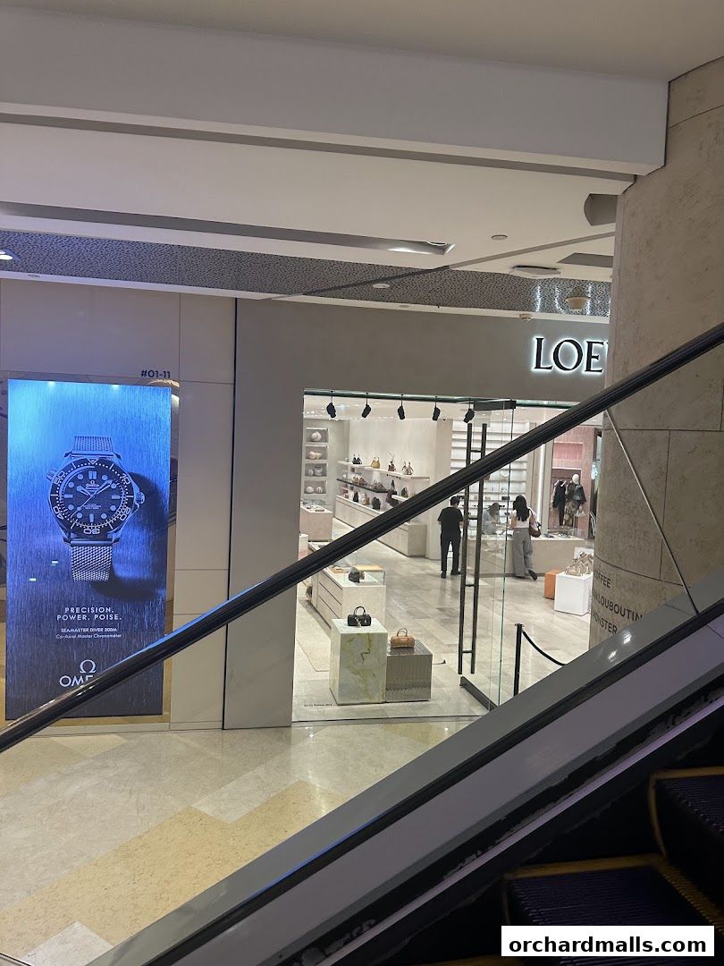 View of the LOEWE store entrance with handbags displayed inside, seen from an escalator.