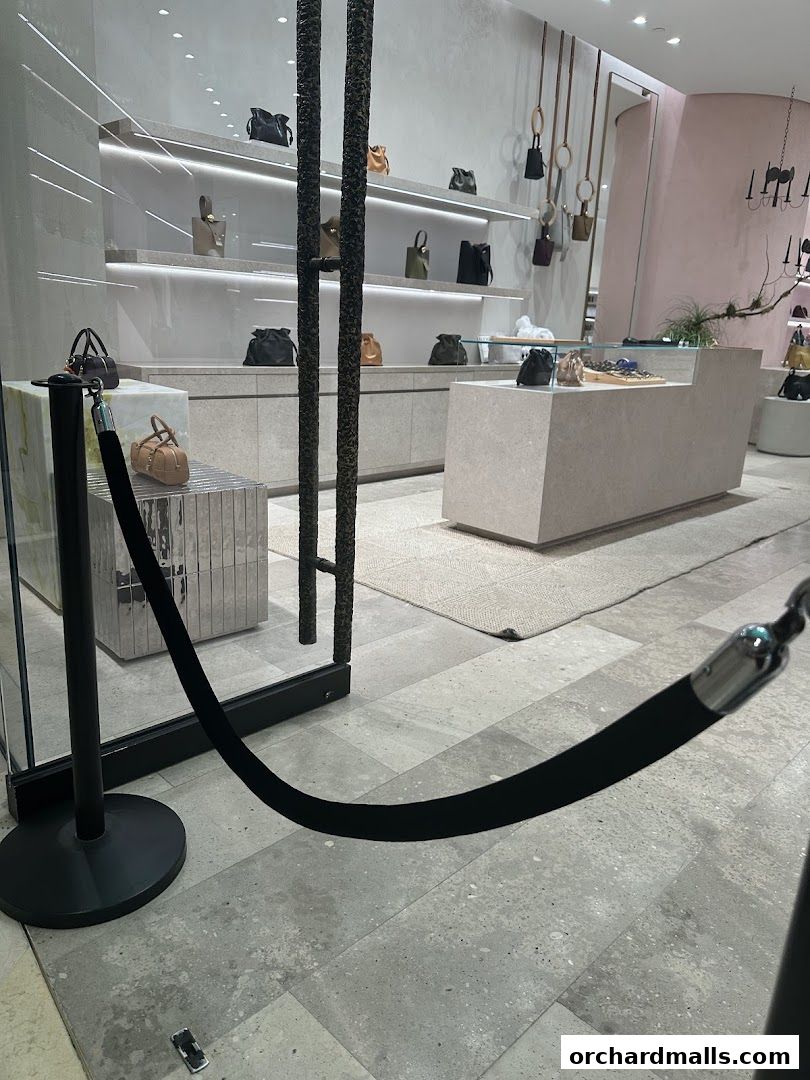 Interior view of a luxury handbag store with handbags displayed on shelves and a counter.