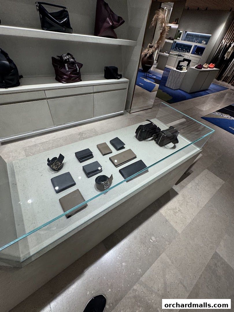 Interior view of a luxury fashion store showcasing handbags and accessories in display cases.
