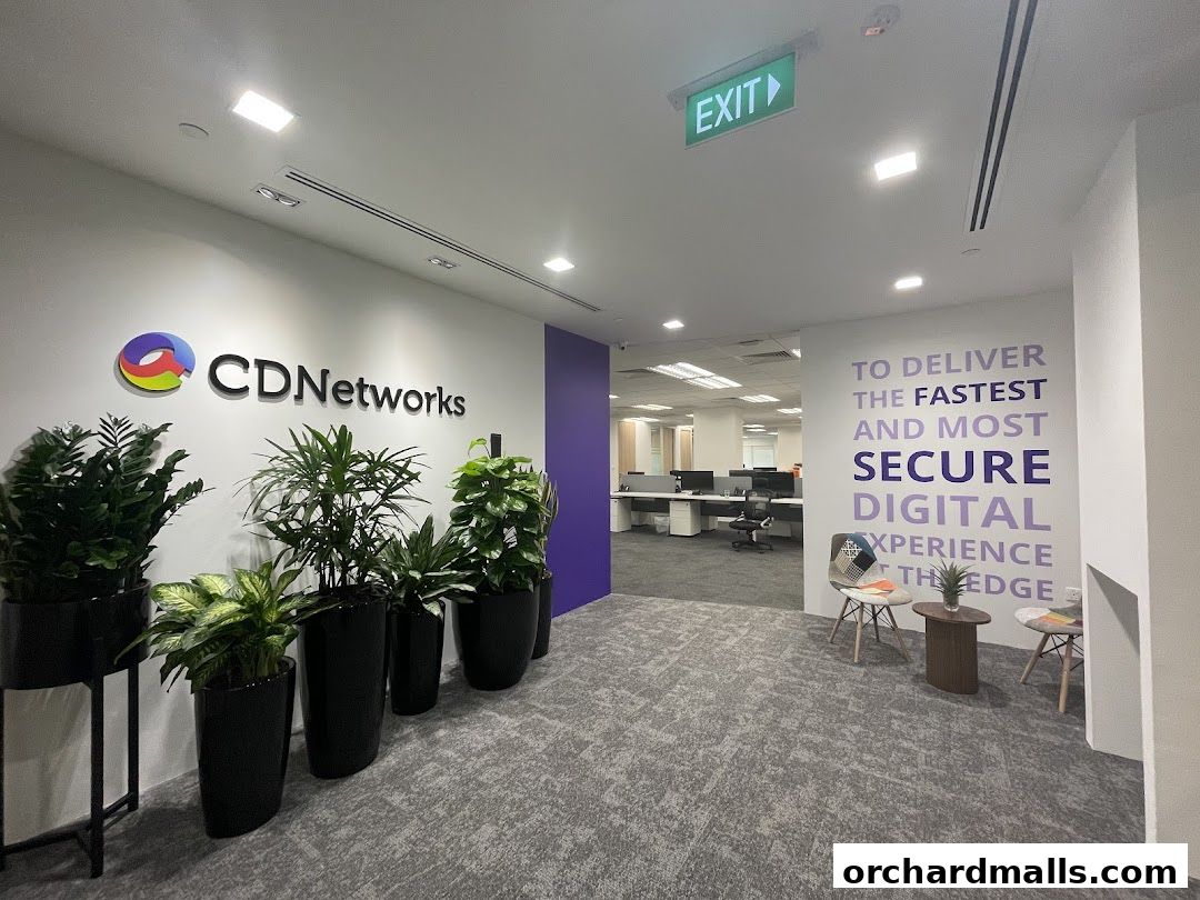CDNetworks Singapore