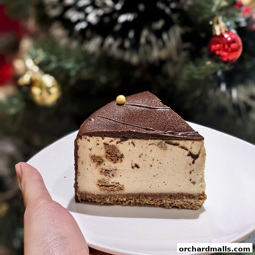 A slice of chocolate-covered cheesecake with a festive Christmas tree in the background.