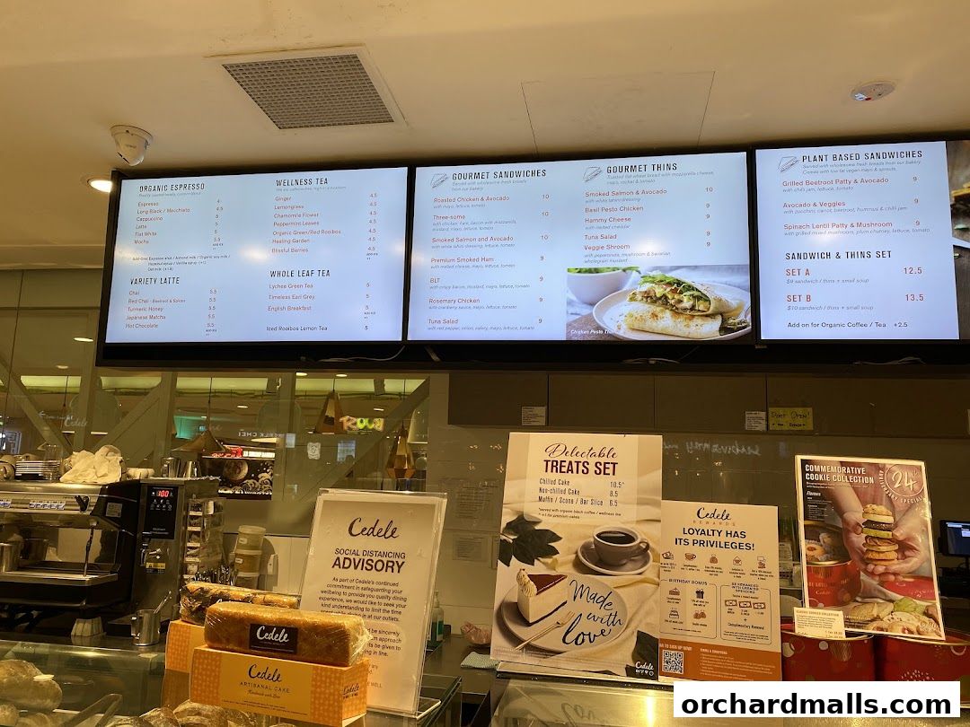 Menu page for Cedele - Paragon