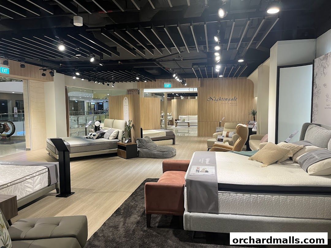 Cellini - The Centrepoint