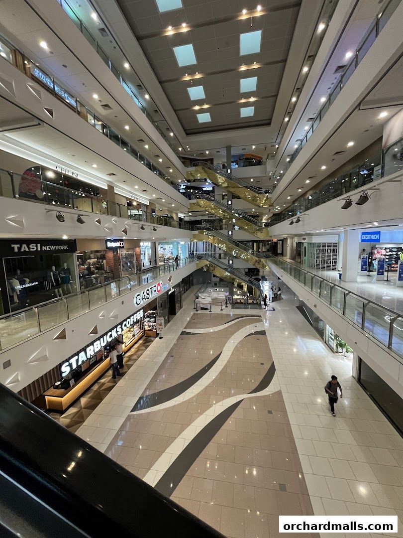 Cellini - The Centrepoint