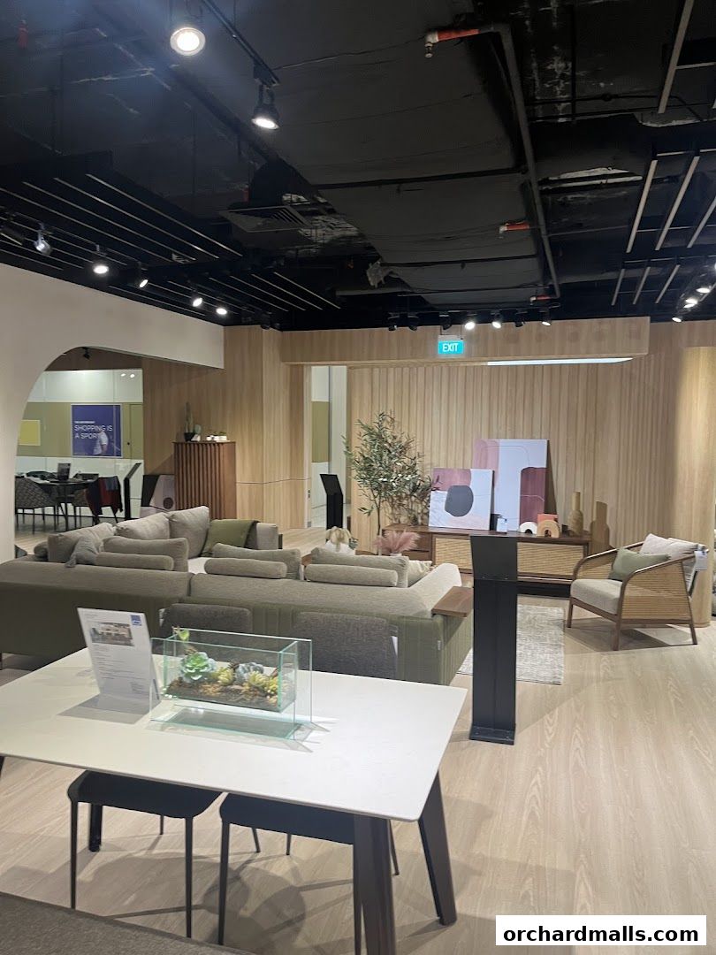 Cellini - The Centrepoint