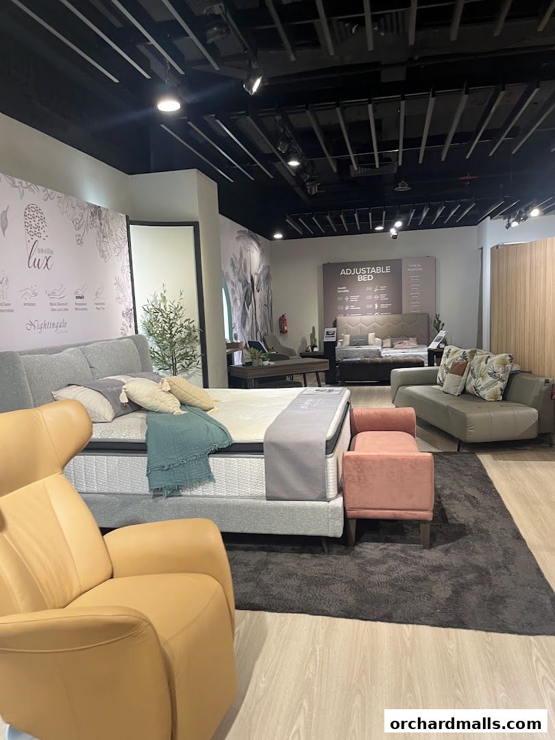 Cellini - The Centrepoint