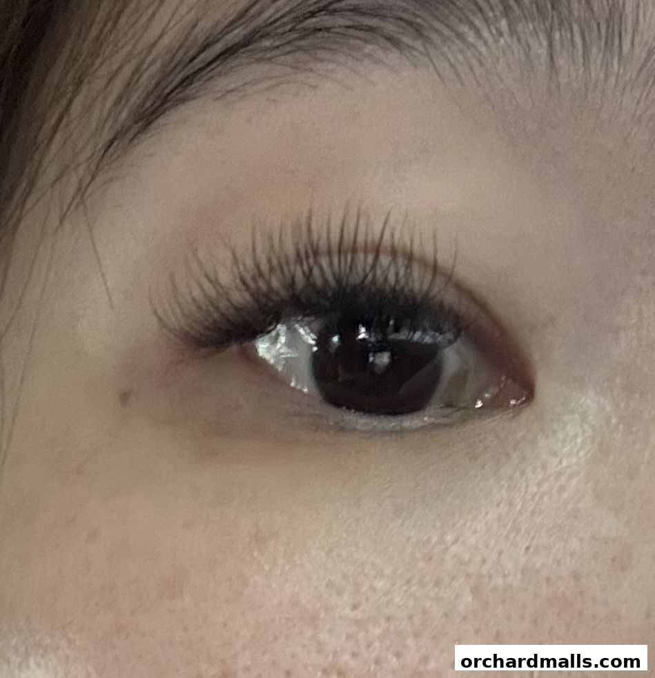 Celmonze The Signature Orchardgateway