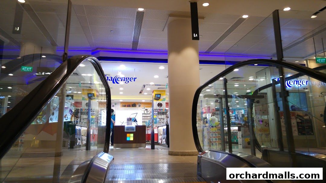 Challenger 313  Somerset