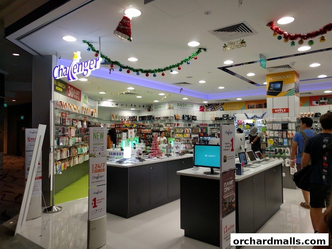 Challenger 313  Somerset