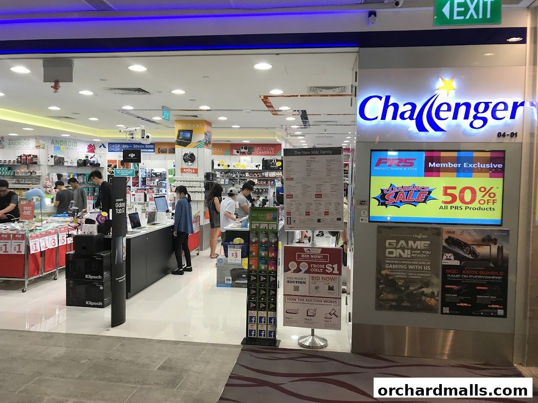 Challenger 313  Somerset