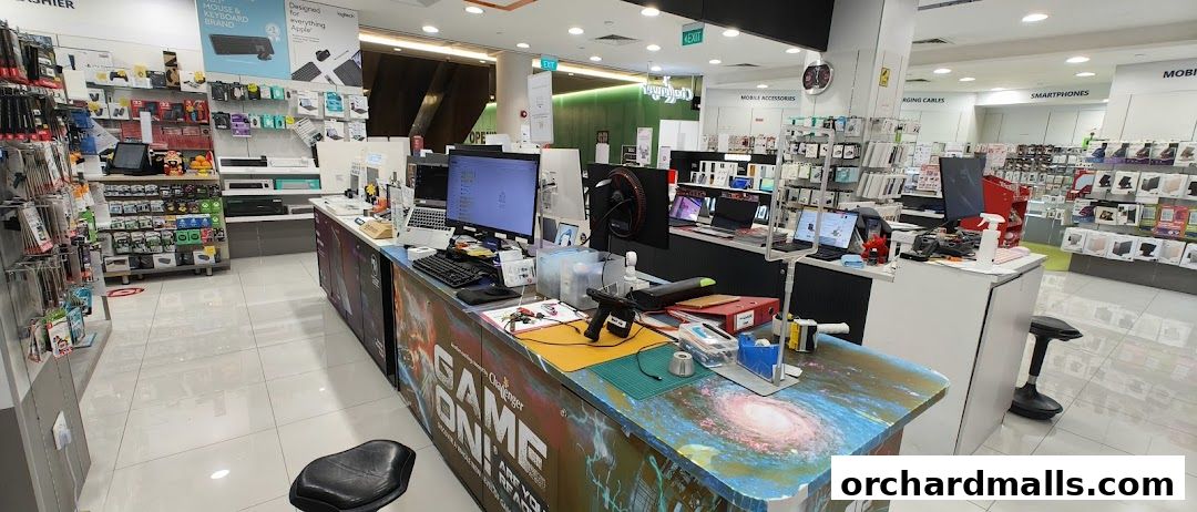 Challenger 313  Somerset