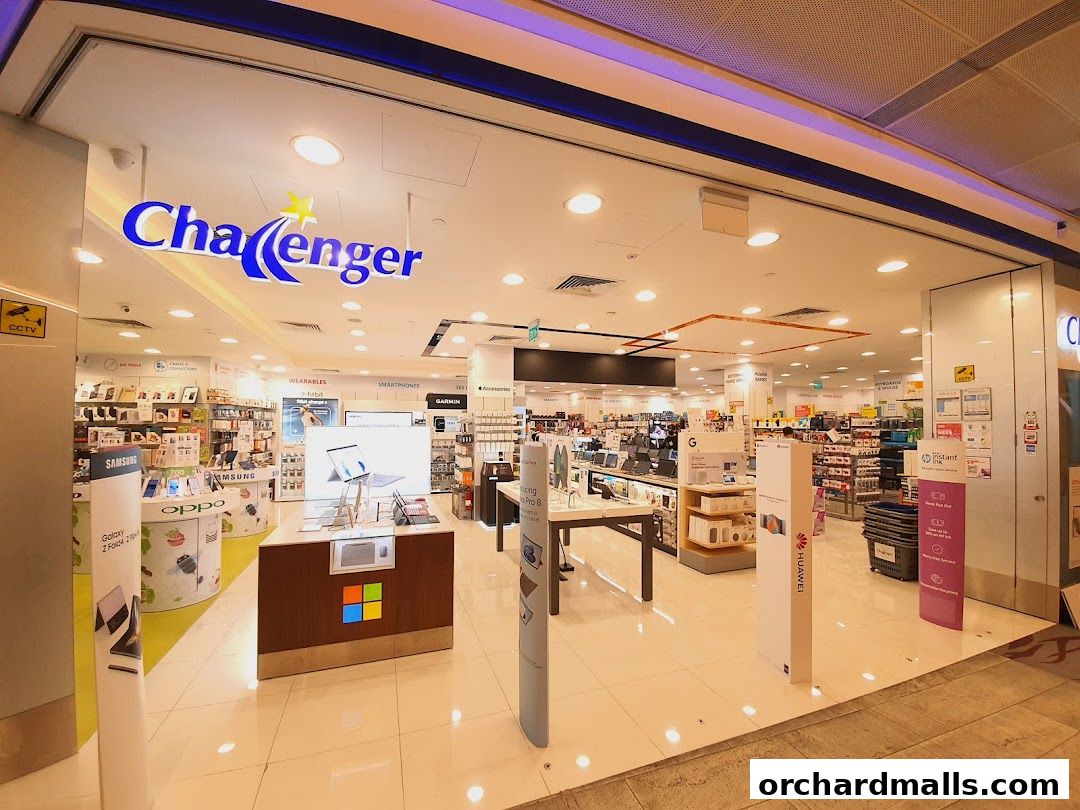 Challenger 313  Somerset