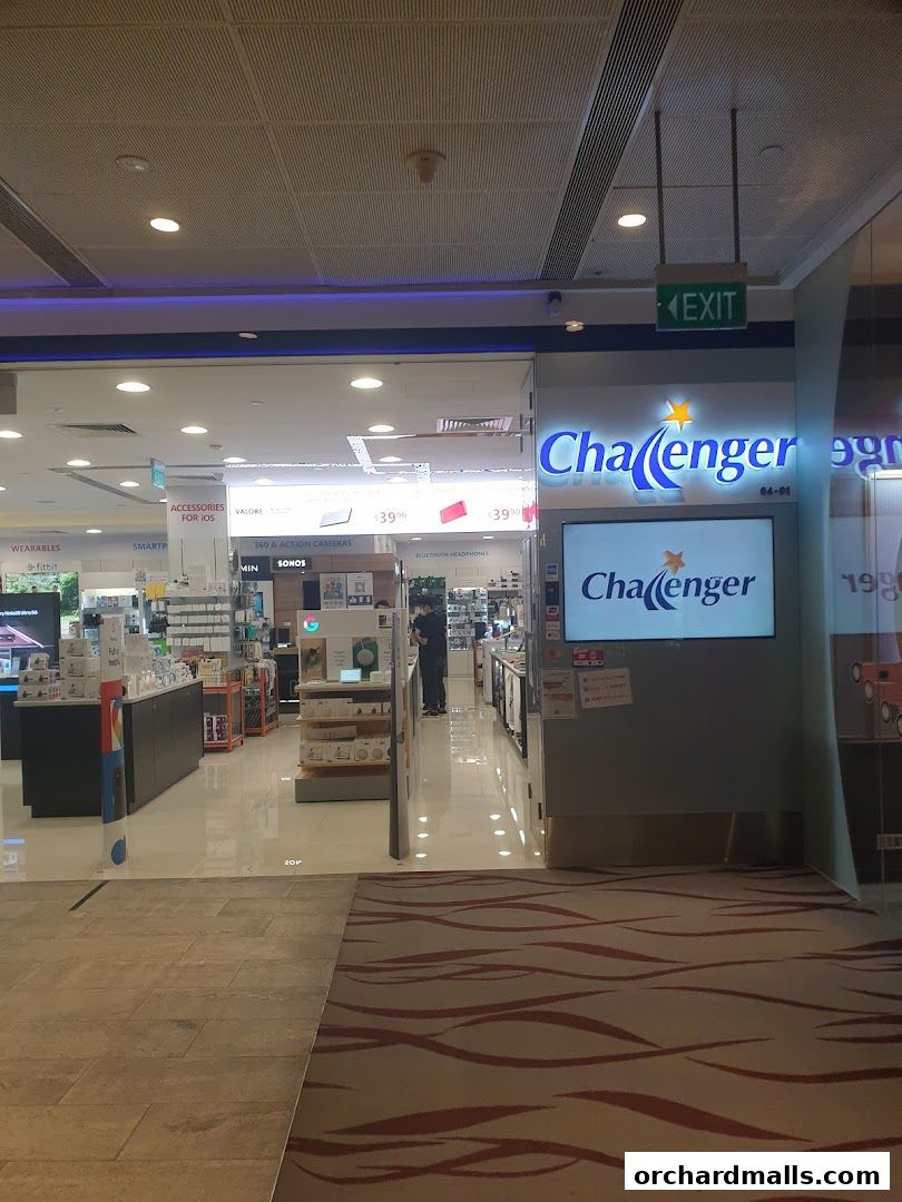 Challenger 313  Somerset