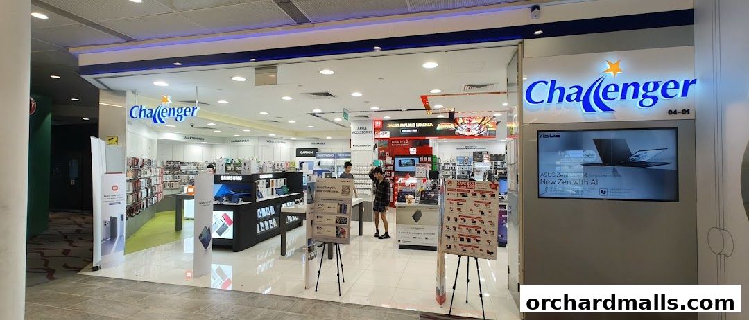 Challenger 313  Somerset