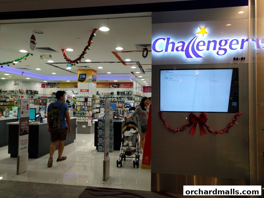 Challenger 313  Somerset