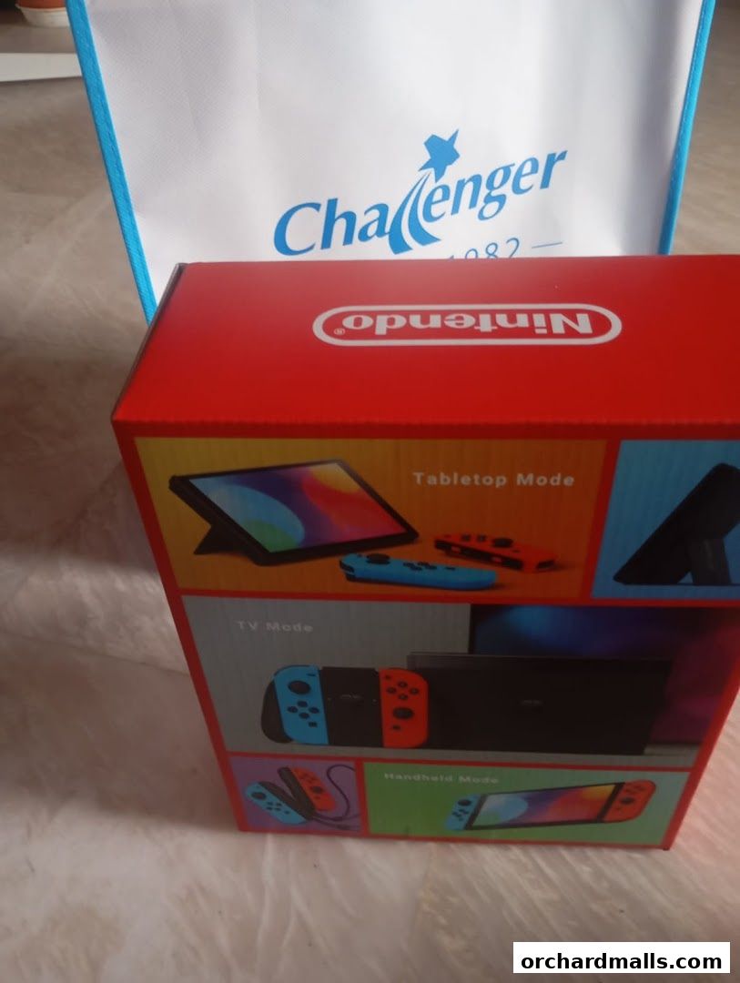 Challenger 313  Somerset