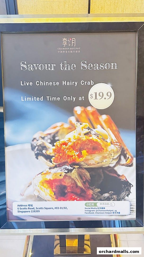 Chamoon Hot Pot 享月汤皇