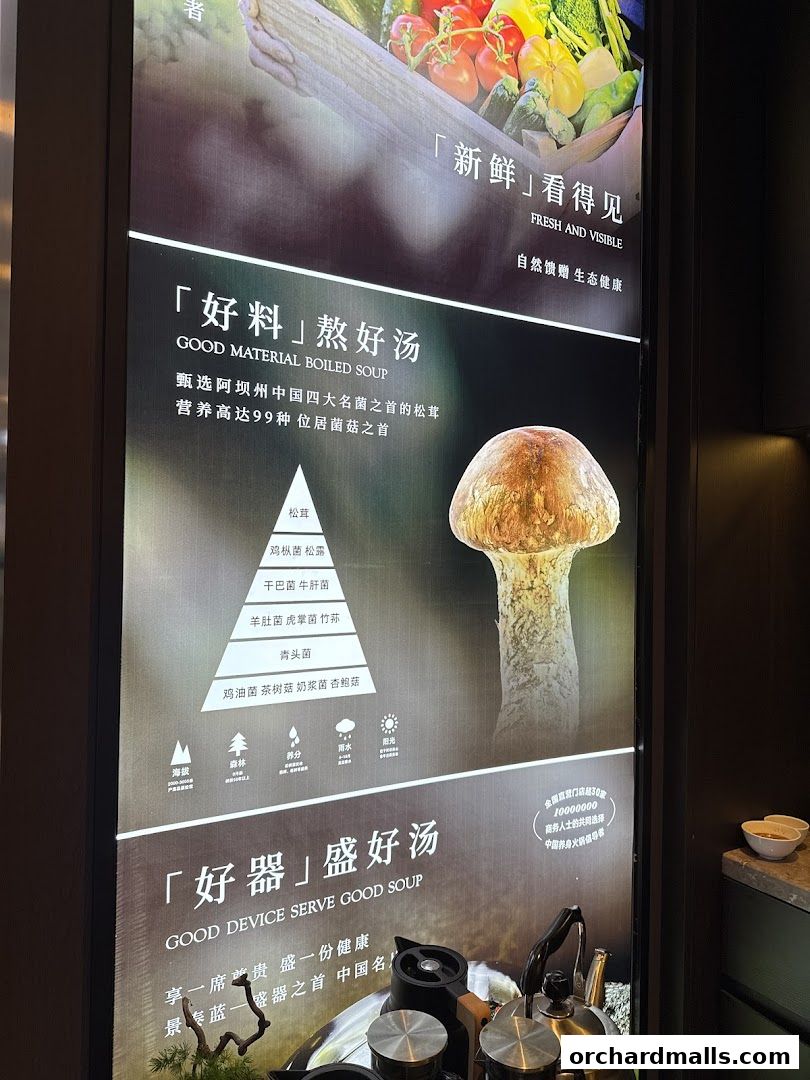 Chamoon Hot Pot 享月汤皇