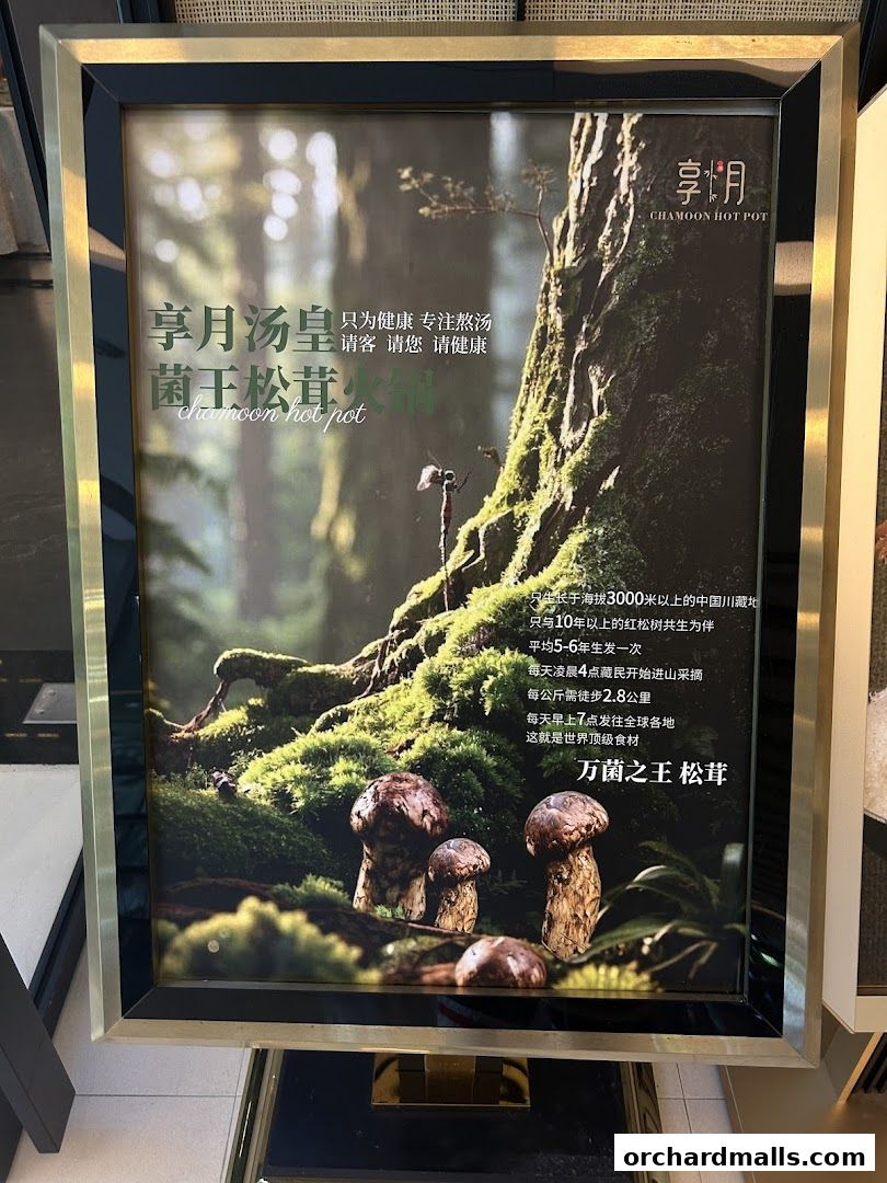 Chamoon Hot Pot 享月汤皇