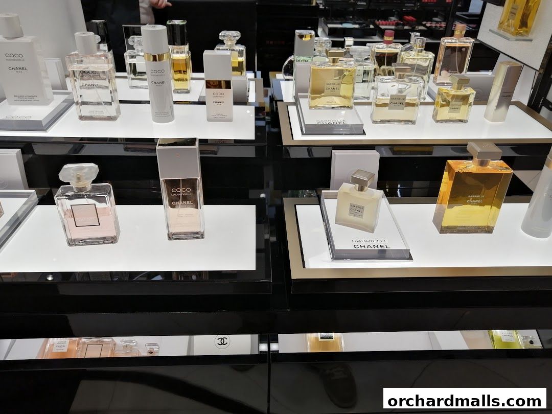 A display of various Chanel perfumes and beauty products on illuminated shelves.