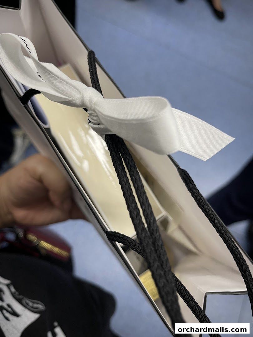 A person holds a Chanel shopping bag with a white ribbon tied around the handles.