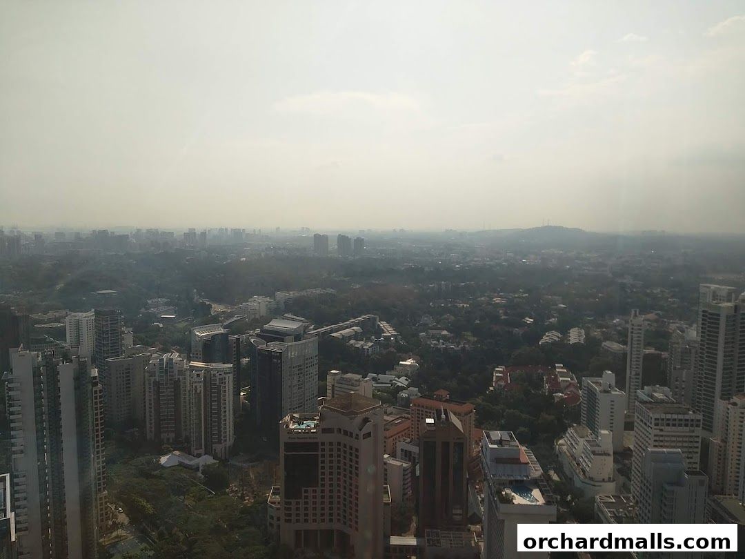 A panoramic view of a city skyline with numerous buildings and greenery under a hazy sky.