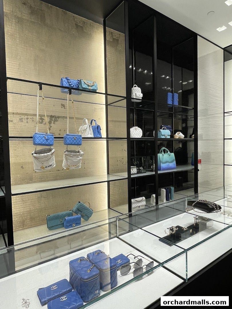 Chanel store interior displaying handbags, sunglasses, and accessories on shelves and in display cases.