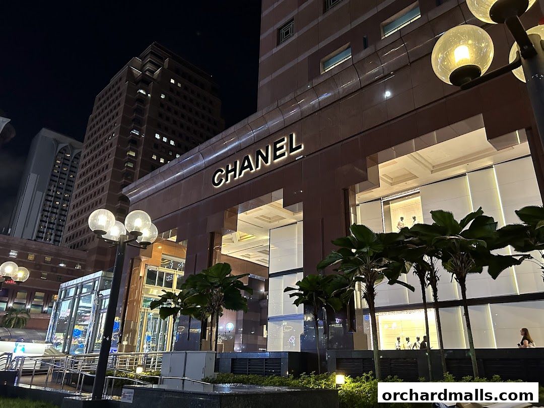 The illuminated Chanel store facade at night, with palm trees in the foreground.