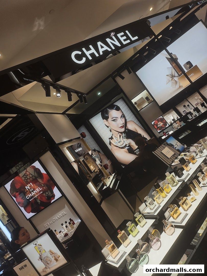 Chanel store interior showcasing perfumes, skincare, and beauty products with elegant displays.