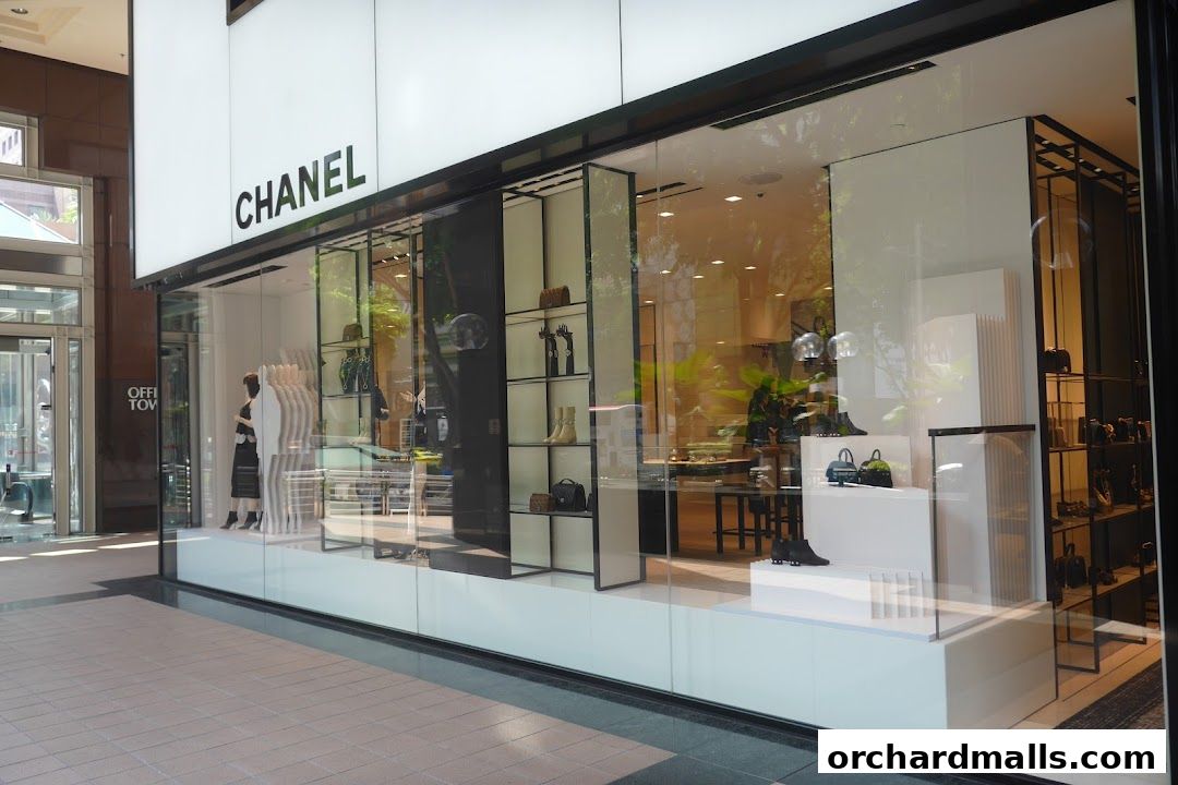 Chanel store window display featuring handbags, shoes, and mannequins.