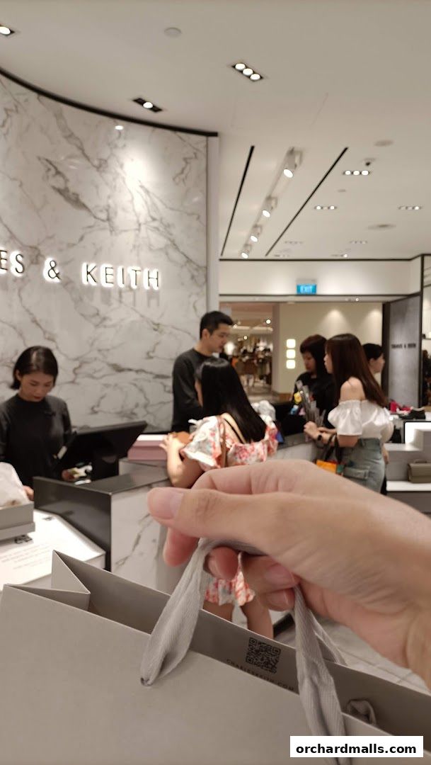 Customers are being served at the checkout counter of a Charles & Keith store.